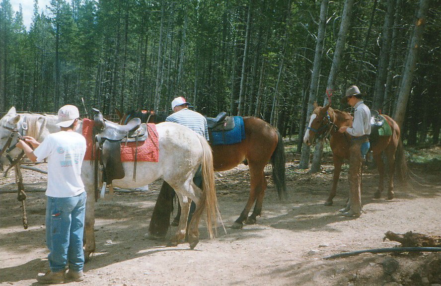 Horse Back